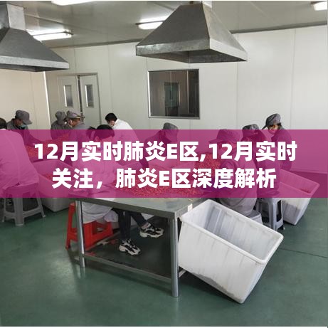 12月肺炎E区深度解析与实时关注