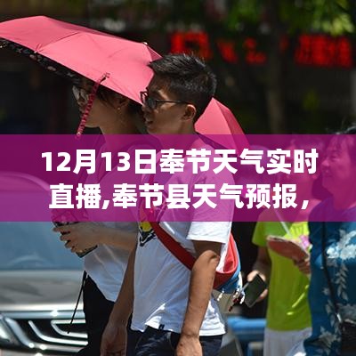 揭秘奉节县天气预报，十二月十三日天气实况与未来趋势实时直播