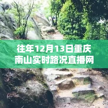 重庆南山实时路况直播网深度解析与观点阐述，历年12月13日的路况直播回顾