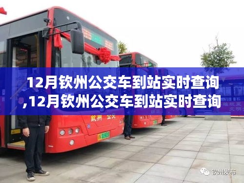 12月钦州公交车到站实时查询系统详解与深度评测