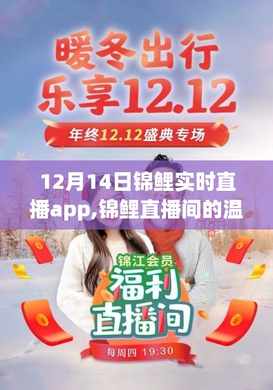 12月14日锦鲤直播日，温馨日常与特别陪伴时刻
