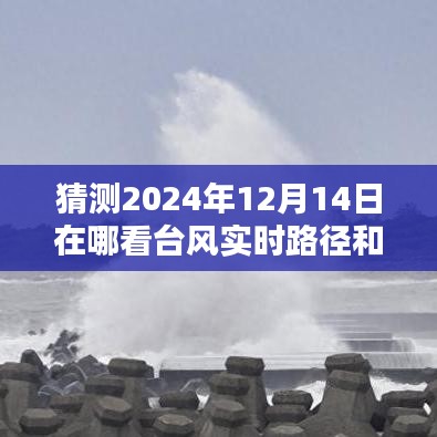 台风动态