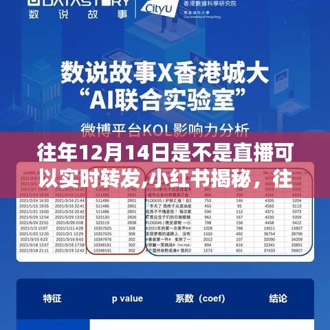 小红书揭秘，往年12月14日直播转发的秘密与实时转发功能探讨