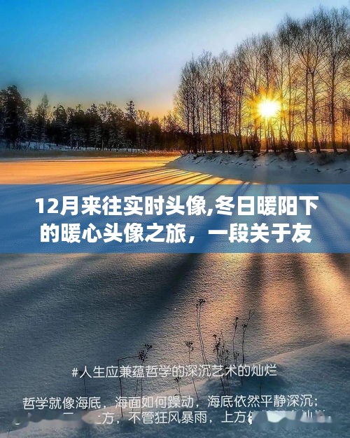 冬日暖阳下的暖心头像之旅，友情与陪伴的温馨故事