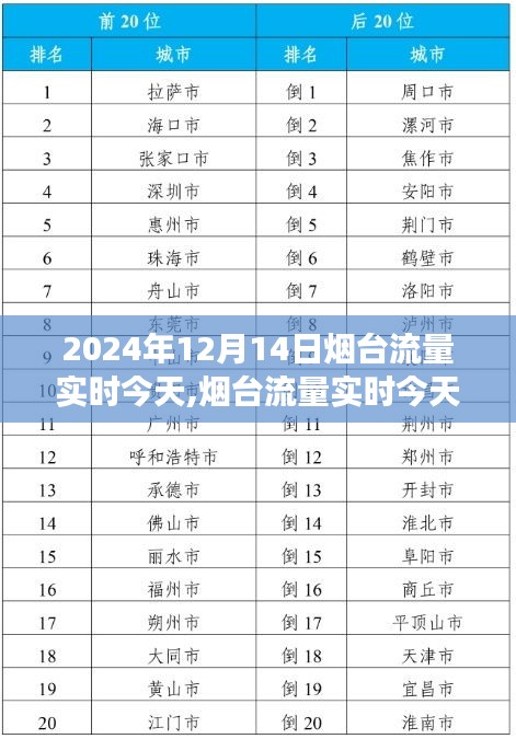 2024年12月14日烟台流量实时深度观察，今日网络状况分析