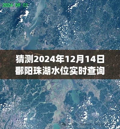鄱阳珠湖水位预测与实时查询指南（初学者版，2024年12月14日水位信息解析）