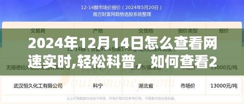 轻松科普，如何查看网络速度实时情况（以2024年12月14日为例）
