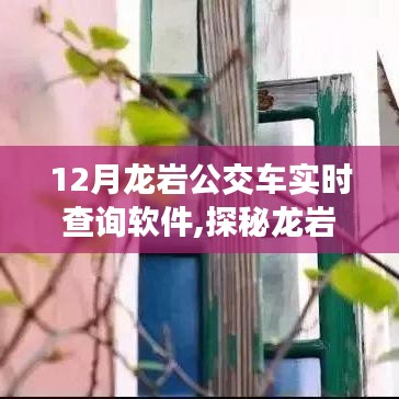 探秘龙岩公交查询新宠，实时查询软件宝藏店揭秘