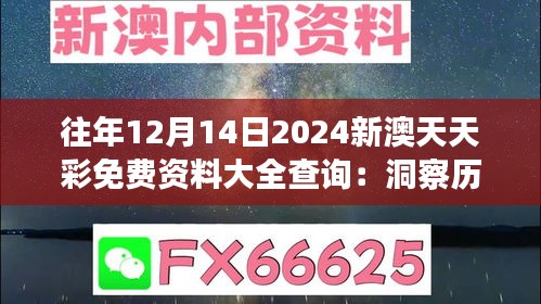 往年12月14日2024新澳天天彩免费资料大全查询：洞察历史数据的价值