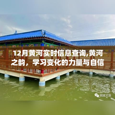 黄河之韵，实时信息查询与学习变化的力量与自信旋律
