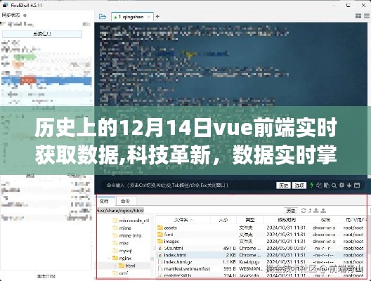 Vue前端数据实时获取技术革新，重磅推出实时掌控神器，引领科技前沿趋势！