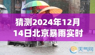 暴雨直播下的南四环隐藏美食探秘之旅，南四环暴雨日美食小巷探秘直播纪实