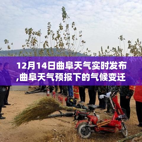 曲阜天气预报深度解析，气候变迁与实时天气分析（实时更新）