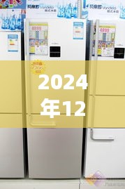 晶弘冰箱实时温度查看指南，与好友共度温馨日常的温暖时光