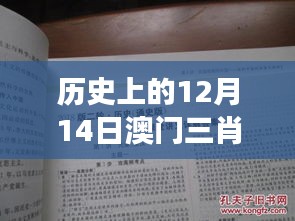 历史上的12月14日澳门三肖三码精准100%黄大仙：揭开神秘面纱