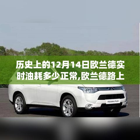 欧兰德路上的奇遇，油耗与友情的温馨故事，实时油耗解读与分享。