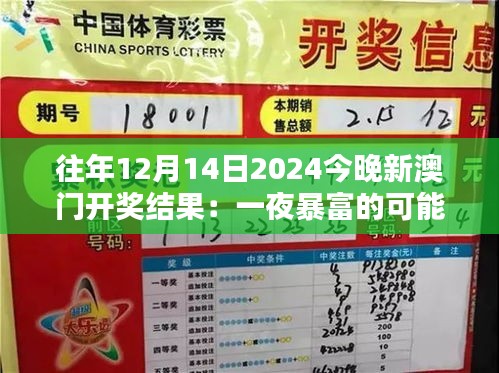 往年12月14日2024今晚新澳门开奖结果：一夜暴富的可能性分析