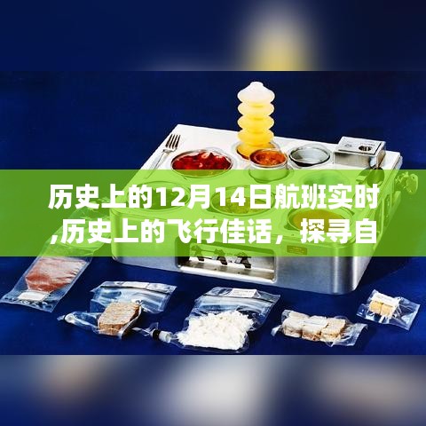 探寻自然美景之旅，历史上的飞行佳话与航班实时记录——12月14日启程的传奇之旅