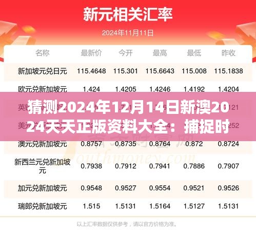 猜测2024年12月14日新澳2024天天正版资料大全：捕捉时代的机遇