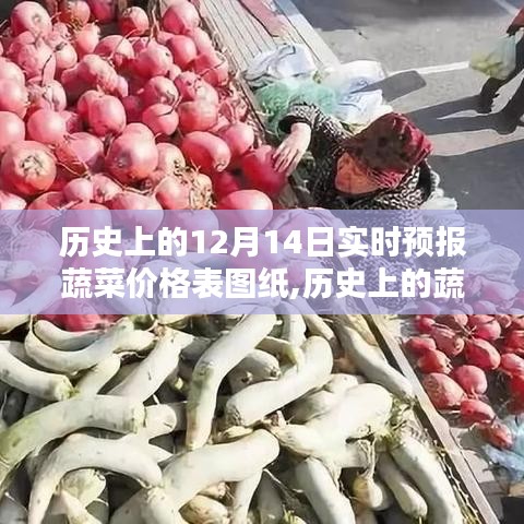 12月14日蔬菜价格实时预报表图纸，揭示历史蔬菜价格波动趋势