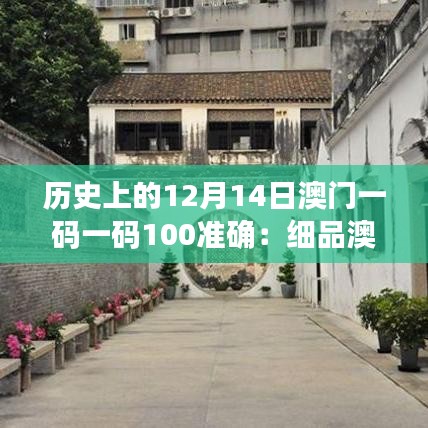 历史上的12月14日澳门一码一码100准确：细品澳门一码一码百年的智慧与精髓