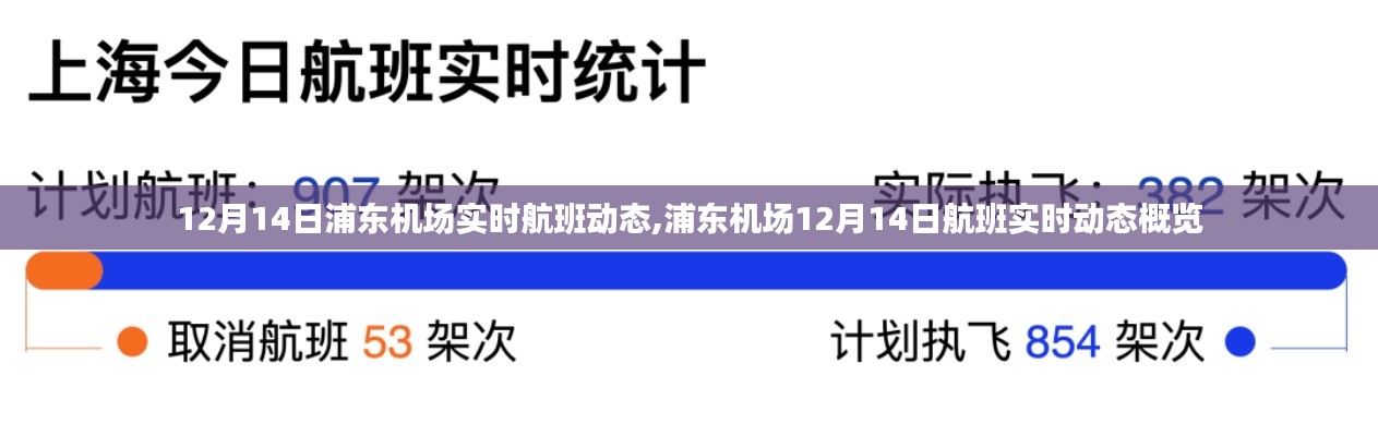九死一生 第4页