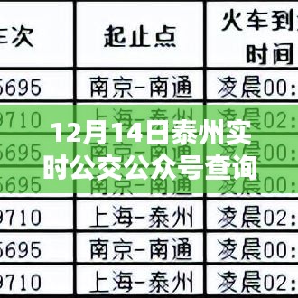 泰州实时公交公众号查询系统深度评测与介绍，12月14日实时更新体验解析