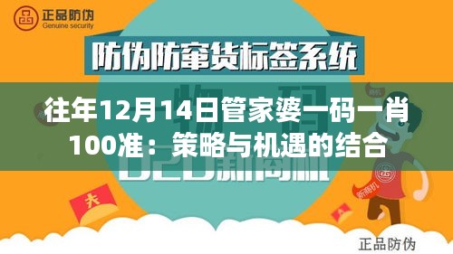 往年12月14日管家婆一码一肖100准：策略与机遇的结合
