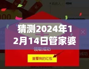 猜测2024年12月14日管家婆一码一肖100中奖：每个数字背后的故事