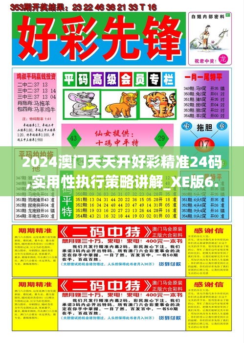 2024澳门天天开好彩精准24码,实用性执行策略讲解_XE版6.521
