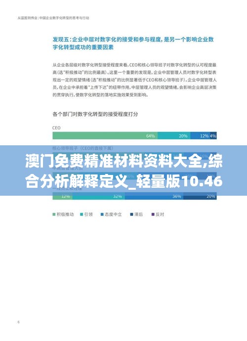 澳门免费精准材料资料大全,综合分析解释定义_轻量版10.468