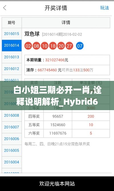 白小姐三期必开一肖,诠释说明解析_Hybrid6.791