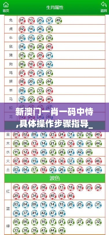 新澳门一肖一码中恃,具体操作步骤指导_经典版6.574