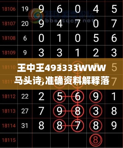 王中王493333WWW马头诗,准确资料解释落实_VE版6.742