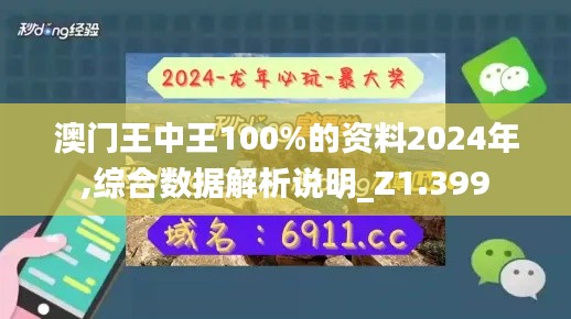 澳门王中王100%的资料2024年,综合数据解析说明_Z1.399