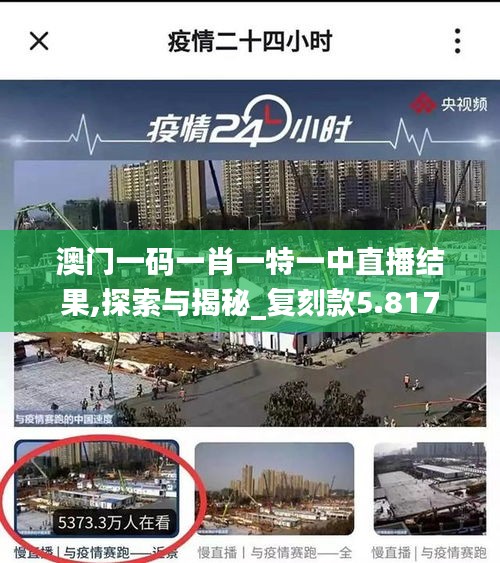 澳门一码一肖一特一中直播结果,探索与揭秘_复刻款5.817