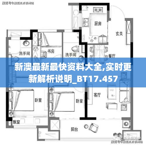 新澳最新最快资料大全,实时更新解析说明_BT17.457