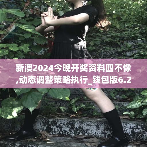新澳2024今晚开奖资料四不像,动态调整策略执行_钱包版6.245