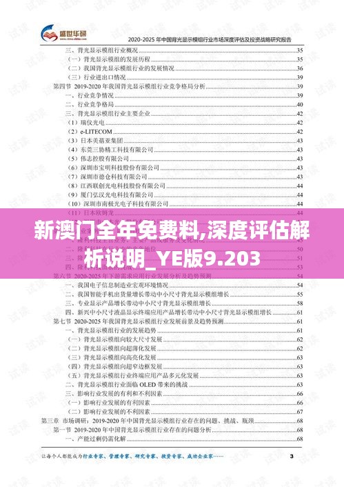 新澳门全年免费料,深度评估解析说明_YE版9.203