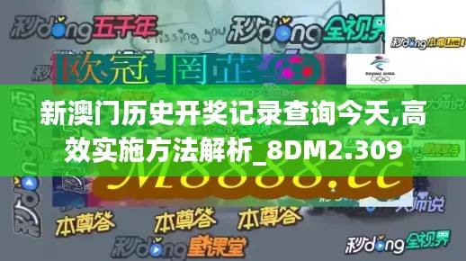 新澳门历史开奖记录查询今天,高效实施方法解析_8DM2.309
