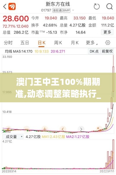 澳门王中王100%期期准,动态调整策略执行_云端版2.673