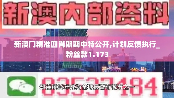 新澳门精准四肖期期中特公开,计划反馈执行_粉丝款1.173