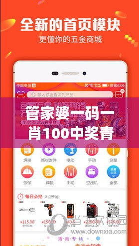 管家婆一码一肖100中奖青岛,最新核心解答落实_AR版2.219