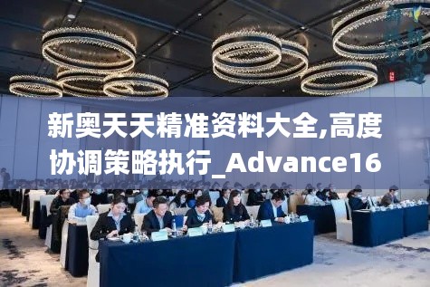 新奥天天精准资料大全,高度协调策略执行_Advance16.828