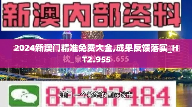 2024新澳门精准免费大全,成果反馈落实_HT2.955