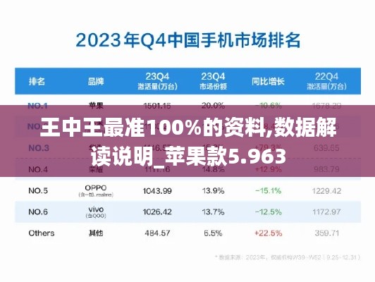 王中王最准100%的资料,数据解读说明_苹果款5.963