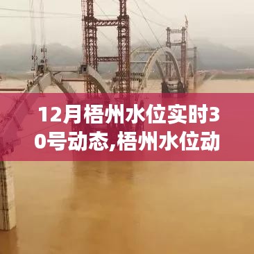 梧州水位动态下的励志篇章，自信与成就的力量在变化中成长