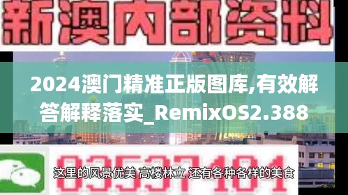 2024澳门精准正版图库,有效解答解释落实_RemixOS2.388