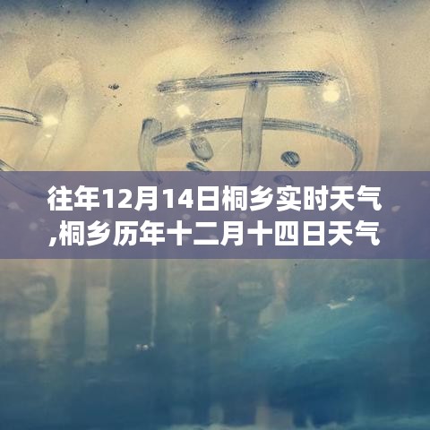 桐乡十二月十四日气象探究，历年天气分析与实时天气观察
