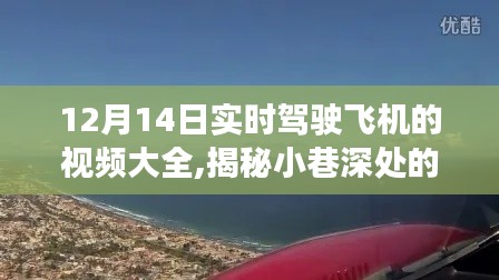 揭秘飞行梦想，12月14日实时驾驶飞机视频盛宴，飞行体验一览无余